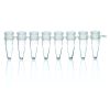 PCR-Reaktionsgefässe 0,2 ml, farblos PP, dünnwandig, ohne Deckel, 125 8er-Strips